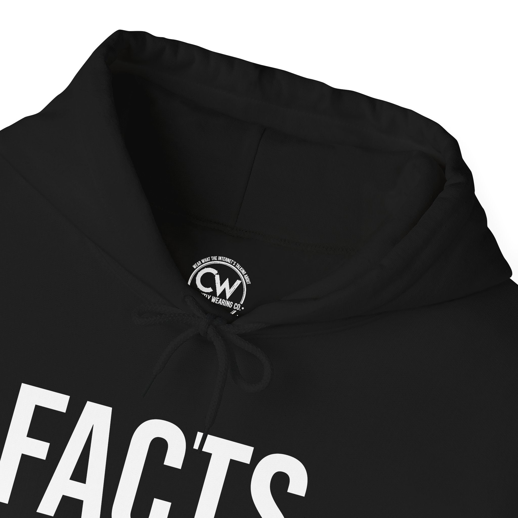 FACTS. (currently wearing the truth) Hoodie — Signature Logo Collection - Unisex Heavy Blend Hoodie for Everyday Truth
