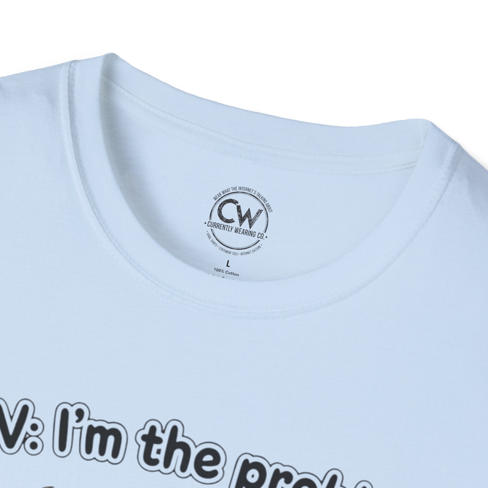 POV I'm the Problem Shirt - Funny Self Aware Tee - Chaotic Energy Shirt - Mental Health Humor T-Shirt Playful Graphic Tee for Everyday Fun, Perfect Gift, Casual Wear, Women's Humor T-Shirt, Self-Deprecating Humor Tee