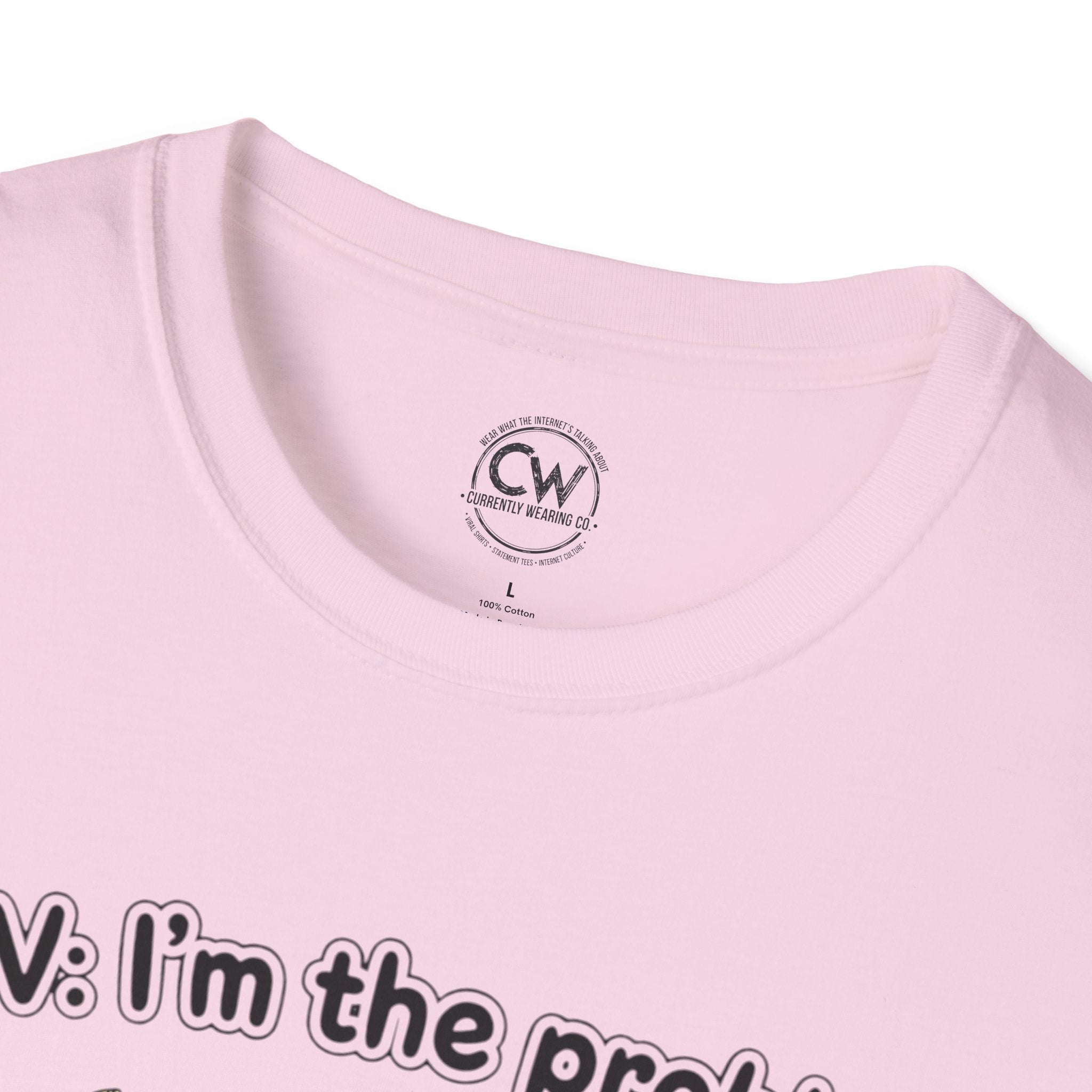 POV I'm the Problem Shirt - Funny Self Aware Tee - Chaotic Energy Shirt - Mental Health Humor T-Shirt Playful Graphic Tee for Everyday Fun, Perfect Gift, Casual Wear, Women's Humor T-Shirt, Self-Deprecating Humor Tee