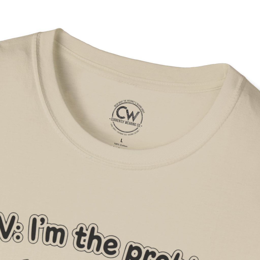 POV I'm the Problem Shirt - Funny Self Aware Tee - Chaotic Energy Shirt - Mental Health Humor T-Shirt Playful Graphic Tee for Everyday Fun, Perfect Gift, Casual Wear, Women's Humor T-Shirt, Self-Deprecating Humor Tee