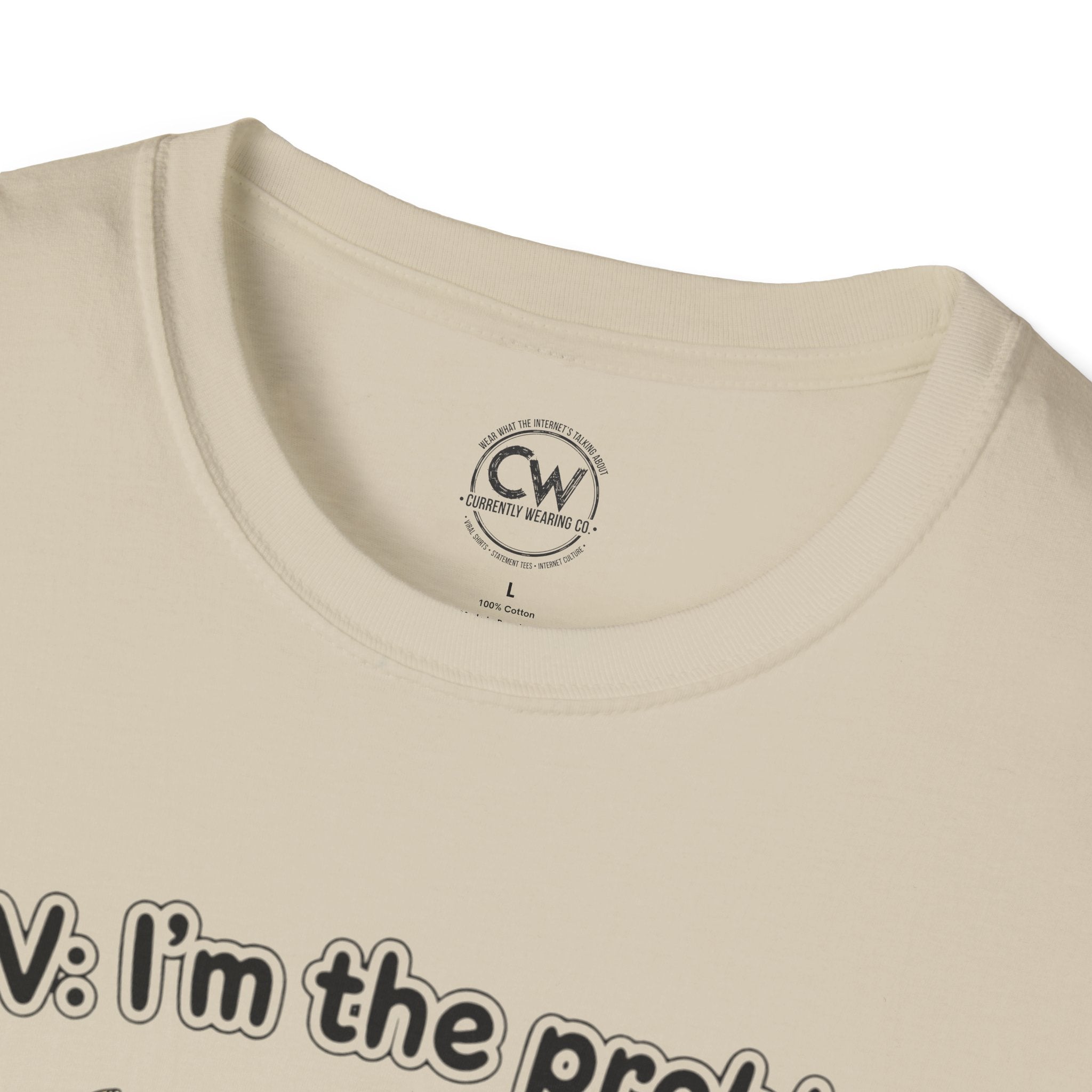 POV I'm the Problem Shirt - Funny Self Aware Tee - Chaotic Energy Shirt - Mental Health Humor T-Shirt Playful Graphic Tee for Everyday Fun, Perfect Gift, Casual Wear, Women's Humor T-Shirt, Self-Deprecating Humor Tee