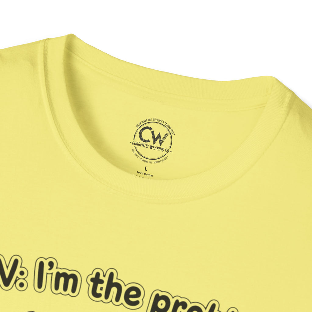 POV I'm the Problem Shirt - Funny Self Aware Tee - Chaotic Energy Shirt - Mental Health Humor T-Shirt Playful Graphic Tee for Everyday Fun, Perfect Gift, Casual Wear, Women's Humor T-Shirt, Self-Deprecating Humor Tee