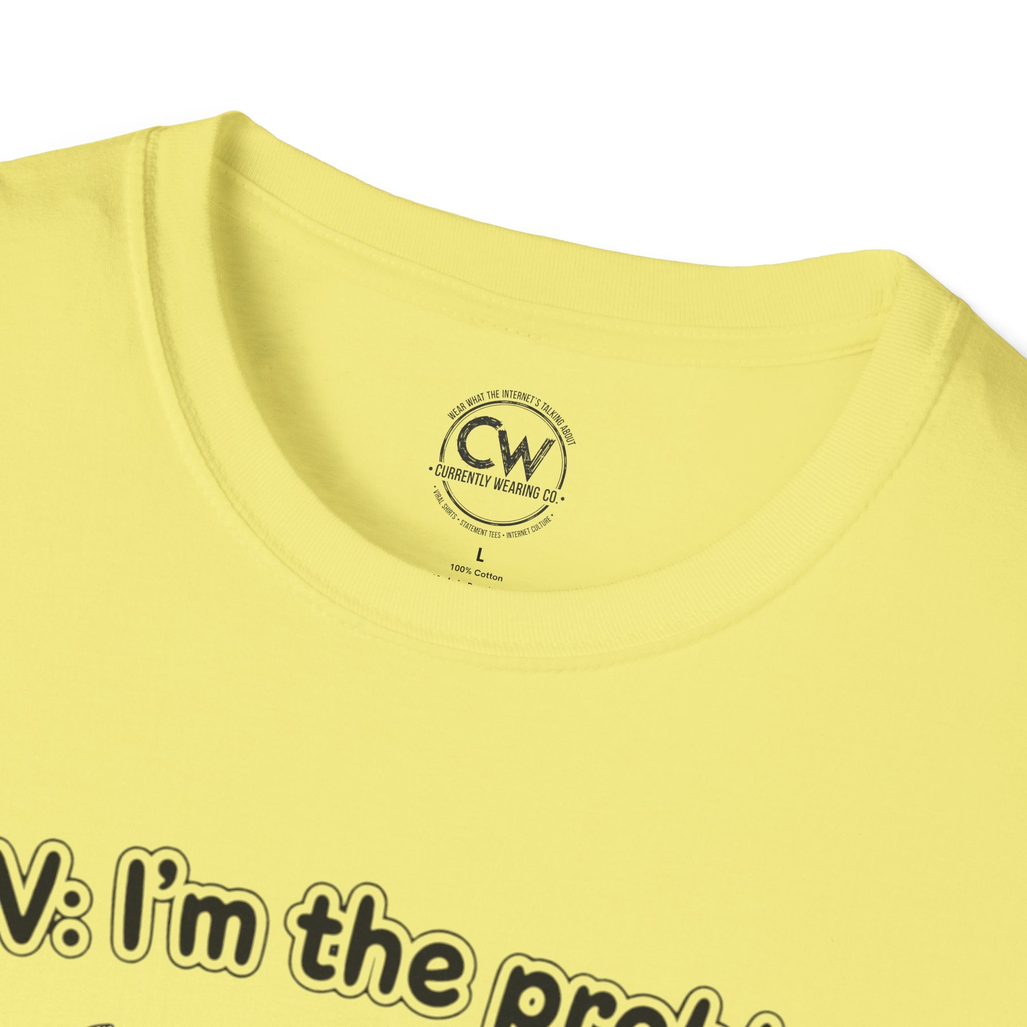 POV I'm the Problem Shirt - Funny Self Aware Tee - Chaotic Energy Shirt - Mental Health Humor T-Shirt Playful Graphic Tee for Everyday Fun, Perfect Gift, Casual Wear, Women's Humor T-Shirt, Self-Deprecating Humor Tee