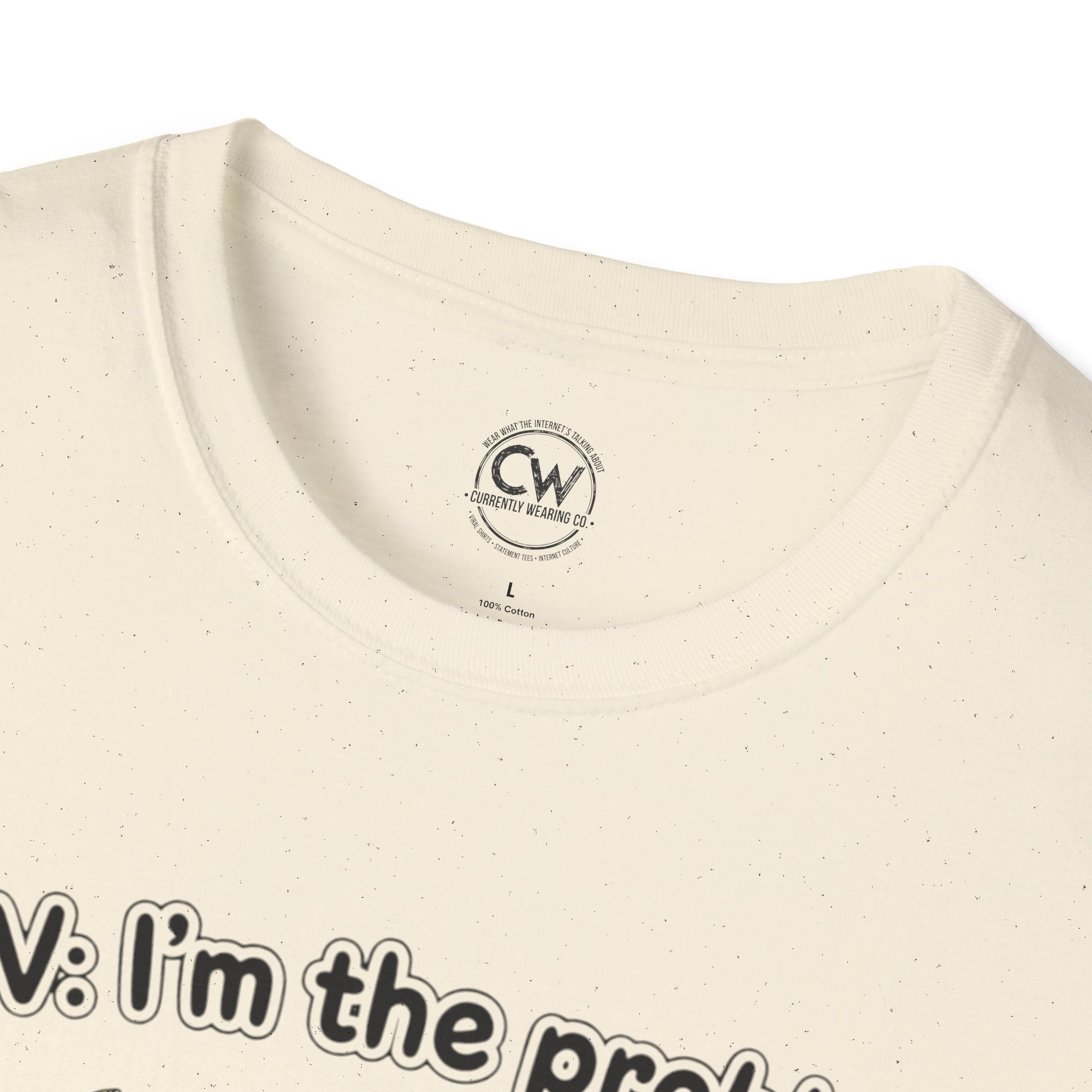 POV I'm the Problem Shirt - Funny Self Aware Tee - Chaotic Energy Shirt - Mental Health Humor T-Shirt Playful Graphic Tee for Everyday Fun, Perfect Gift, Casual Wear, Women's Humor T-Shirt, Self-Deprecating Humor Tee