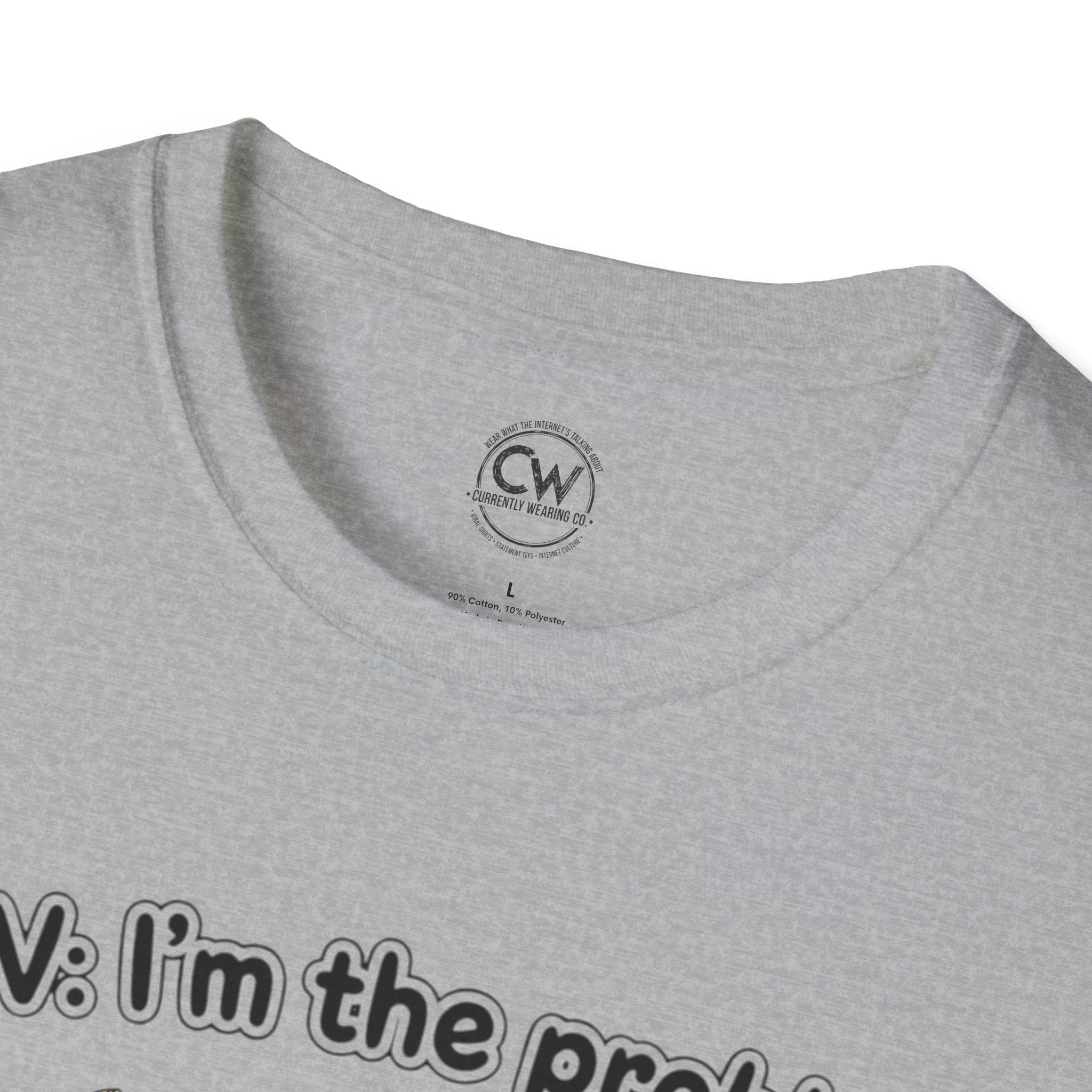 POV I'm the Problem Shirt - Funny Self Aware Tee - Chaotic Energy Shirt - Mental Health Humor T-Shirt Playful Graphic Tee for Everyday Fun, Perfect Gift, Casual Wear, Women's Humor T-Shirt, Self-Deprecating Humor Tee